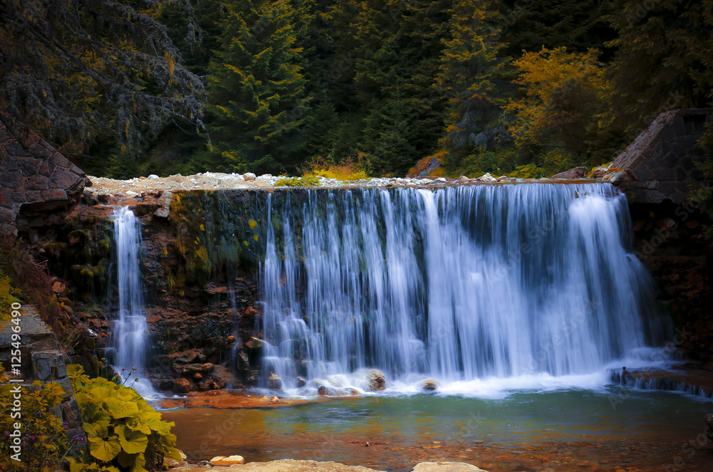 Small waterfall in the forest