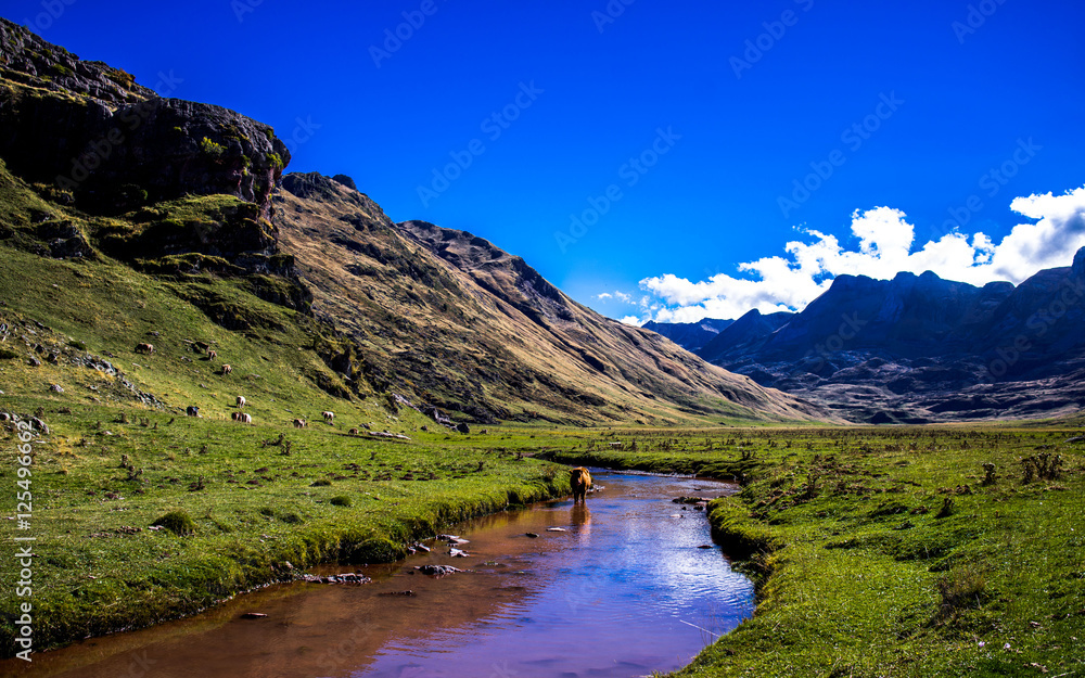 Landscape Pyrenees in the 