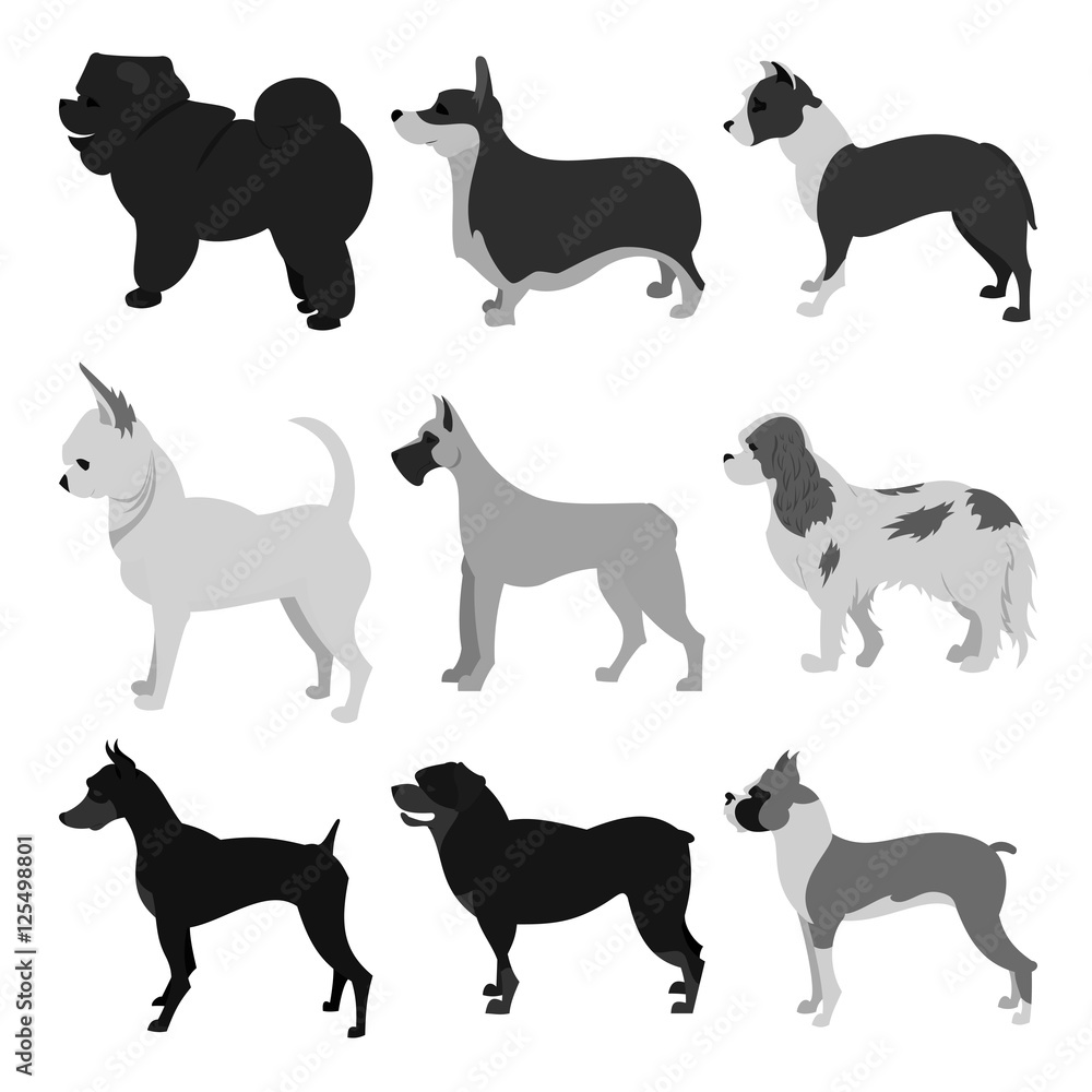 Set of dog breeds