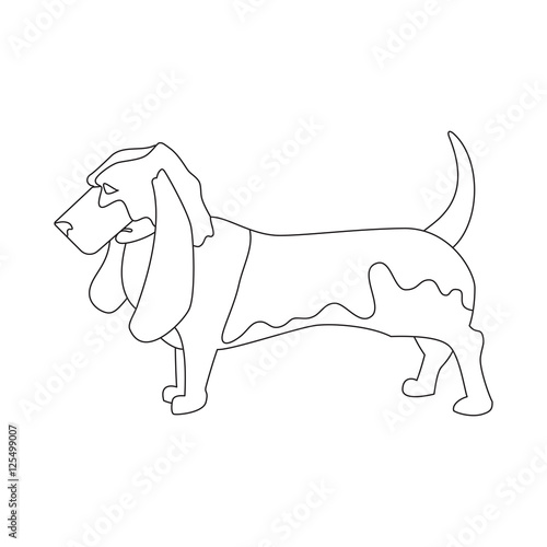 Basset hound linear style
