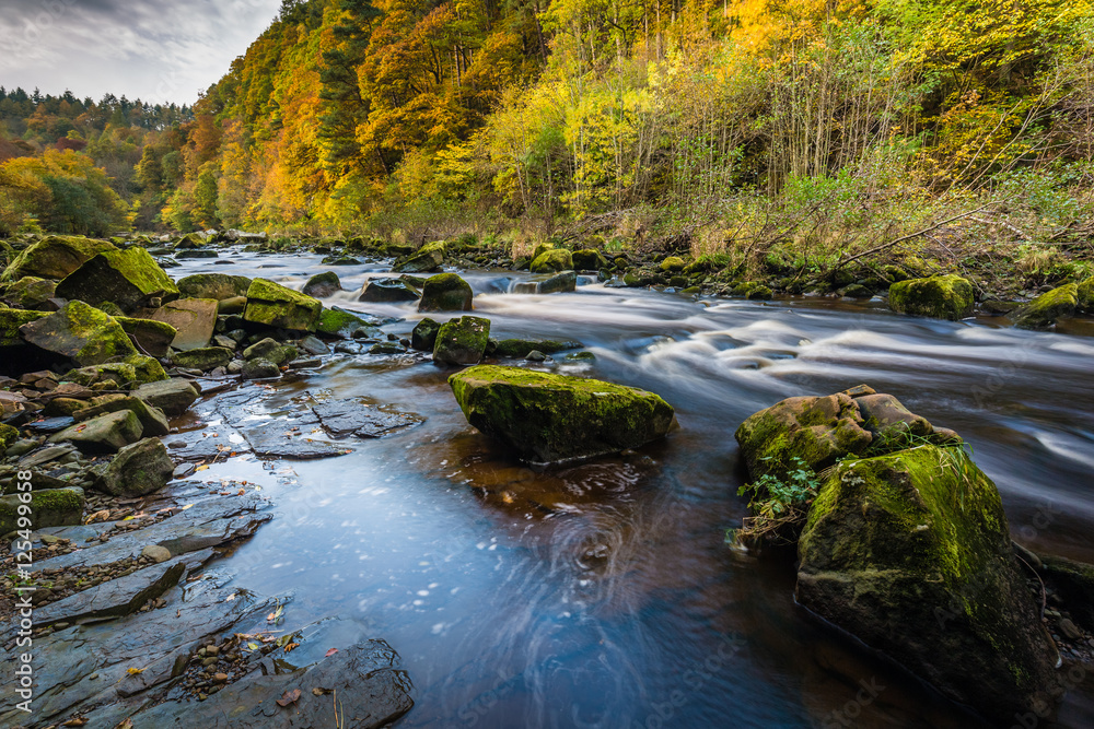 River Allen in Northumberland, England River Allen in Northumberland, England