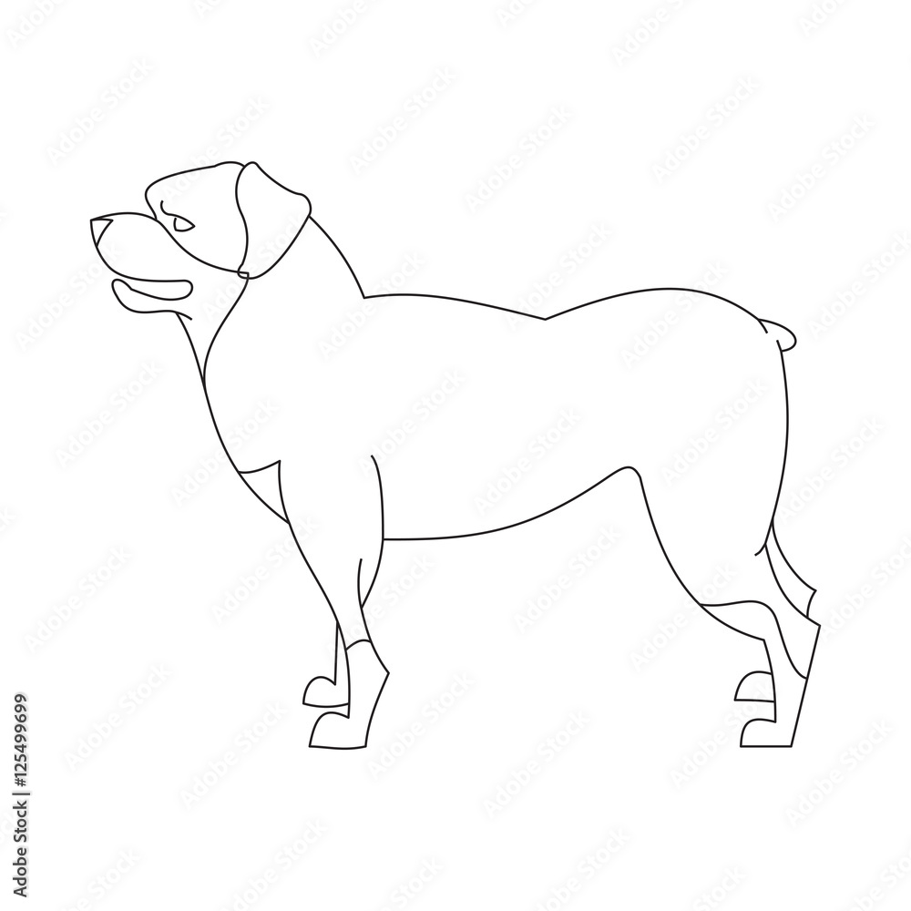 Rottweiler dog linear Rottweiler dog linear