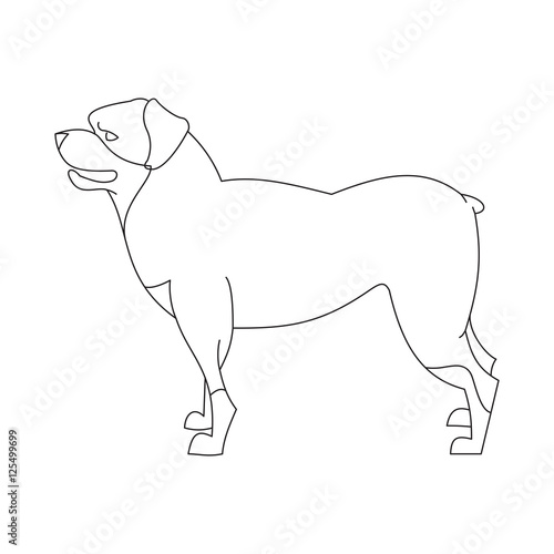 Rottweiler dog linear