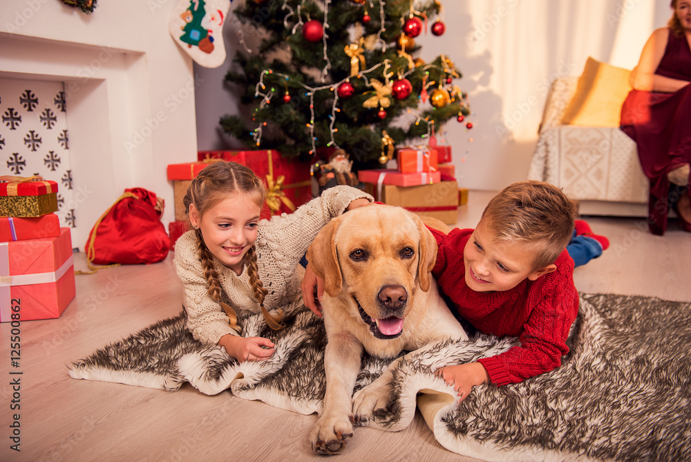 Cute children and pet waiting for Christmas Cute children and pet waiting for Christmas