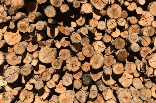 closeup de uma pilha de troncos cortados 
