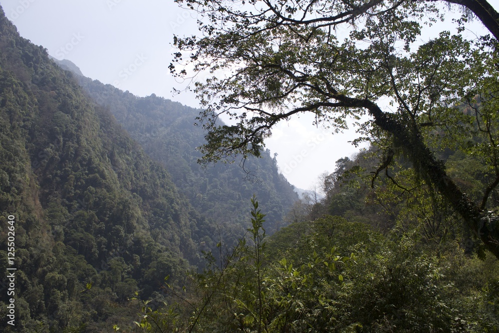 Nature Nepal Trek