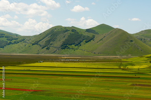 Castelluccio di Norcia photo