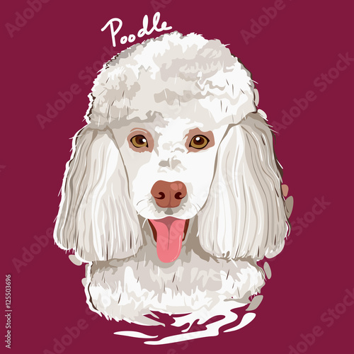 Poodle Painting Poster