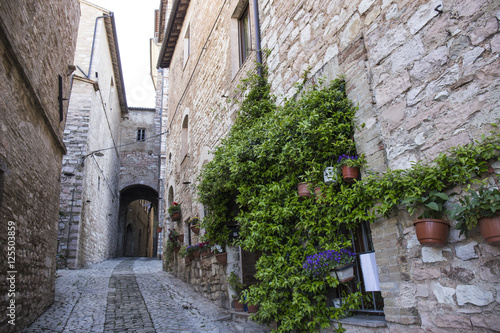 Fototapeta Naklejka Na Ścianę i Meble -  Spello. Medieval town in central Italy in Umbria
