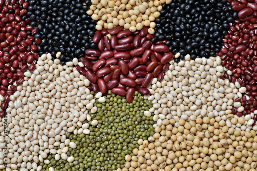 Naklejka premium Preparation different legumes organic for cooking