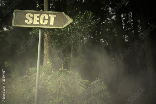 old signboard with text sect near the sinister forest photo