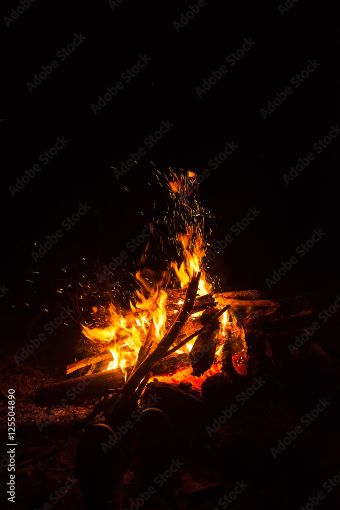 Camp fire in nature Camp fire in nature