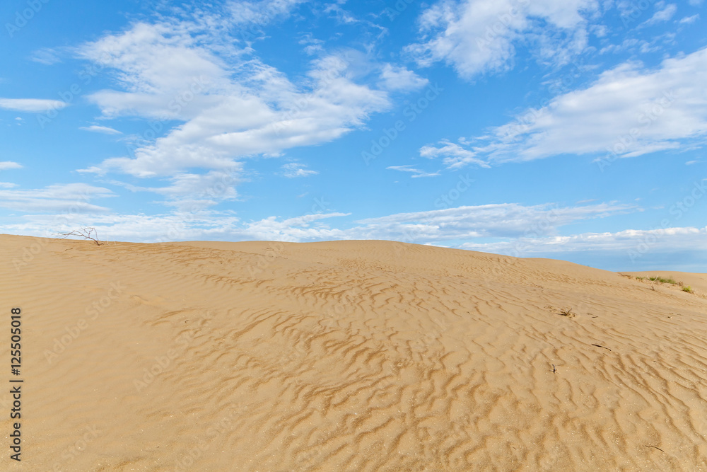 Sandy desert