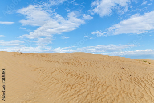 Sandy desert