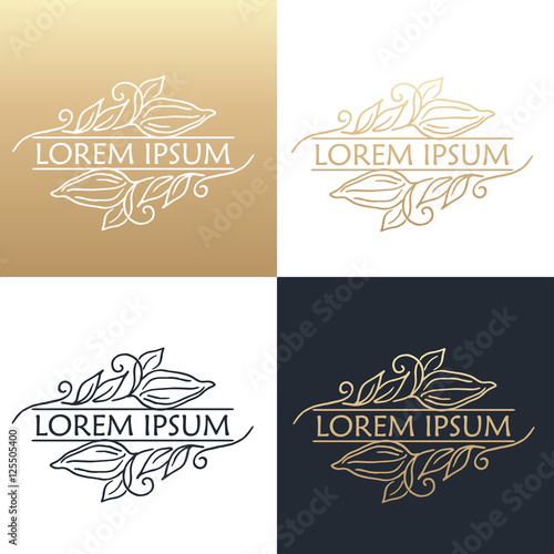Hand drawing logo designes of cocoa beans.