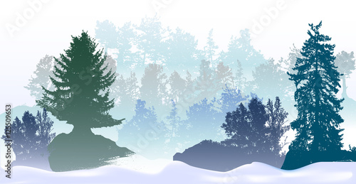 Panoramic winter landscape with snowy trees and snow drifts. Silhouettes of spruces, bushes and snowy forest 