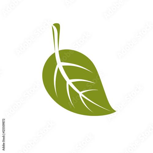 Single vector flat green leaf isolated on white background. Herb