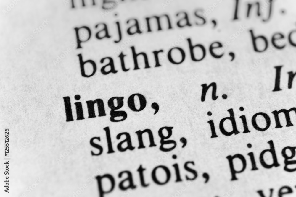 Lingo