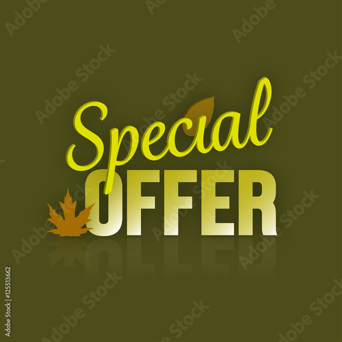 Special Offer Autumn Fall Typographic Banner and leaves.
