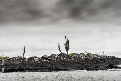 galapagos photo