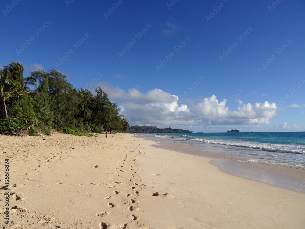 Foot prints path in the sand on Waimanalo Beach