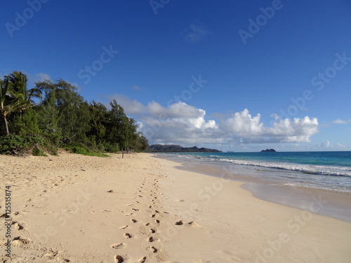 Foot prints path in the sand on Waimanalo Beach photo