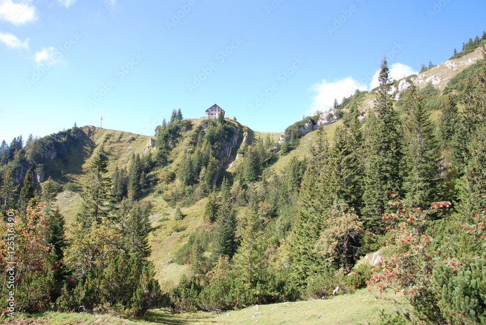 Alpenpanorama