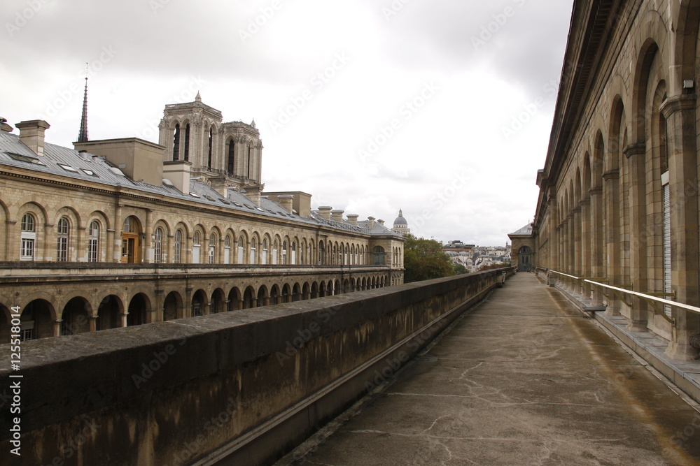Naklejka premium Hôpital de l'Hôtel-Dieu et Notre Dame à Paris