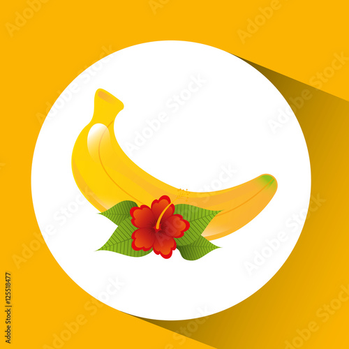 red flower and tropical banana fruit design vector illustration