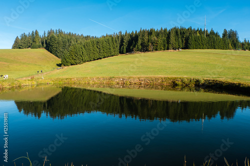 Schwarzwaldlandschaft mit Wasserspiegelung