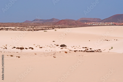 Fuerteventura, Isole Canarie: le dune di sabbia del parco naturale di Corralejo il 29 agosto 2016: 11 chilometri di dune formatesi dalla sabbia del Sahara portata dal vento