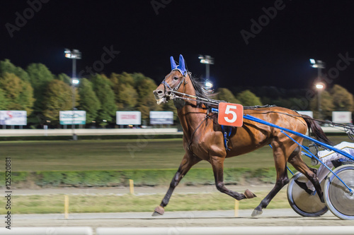 Panning effect - blurred picture night horse race background