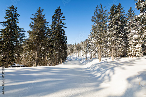 Idyllische Winterlandschaft eines tief verschneiten Waldes