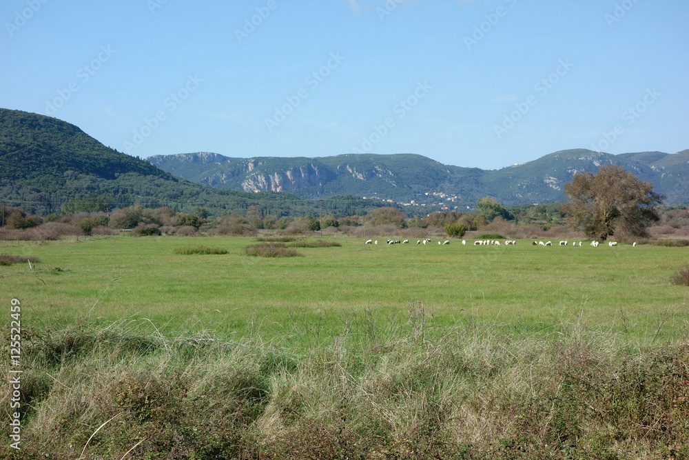 Obraz premium Flat Plain, Corfu Trail, Greece