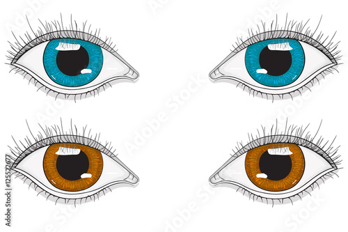 Eyes. Blue and brown eyes