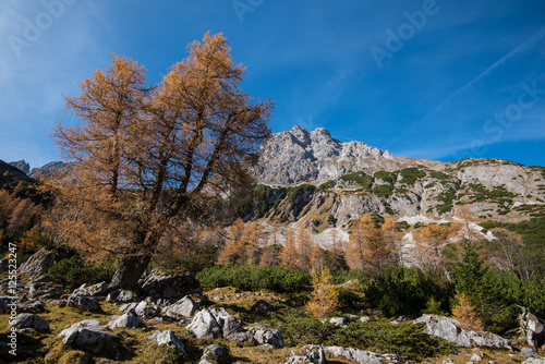 Herbstlandschaft