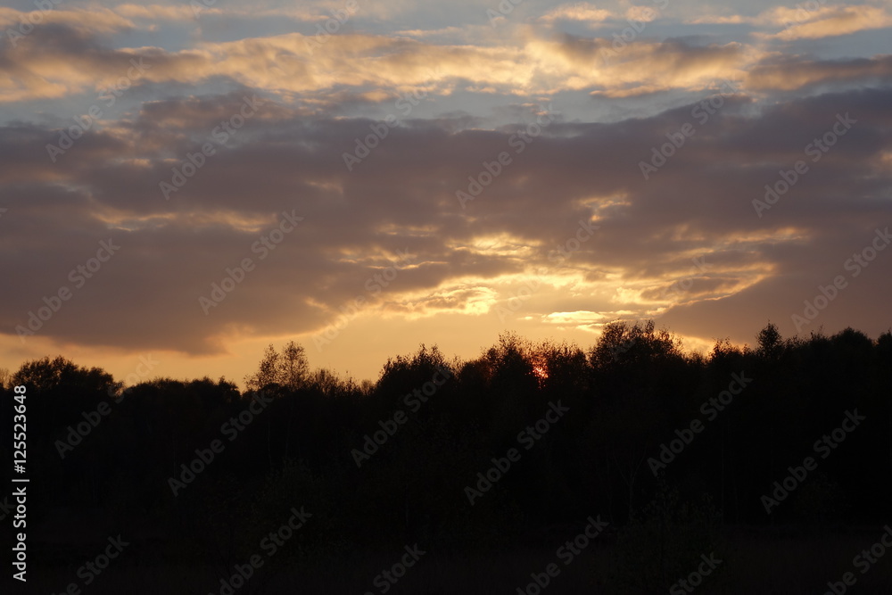 Obraz premium Sonnenuntergang im Rehdener Moor