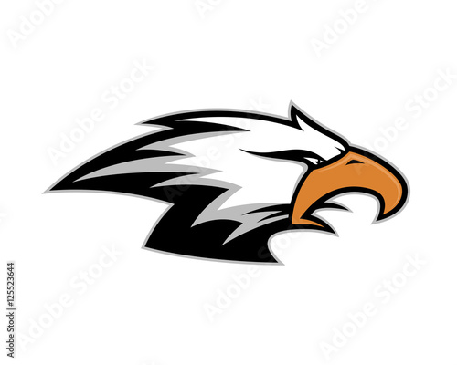 Eagle head mascot