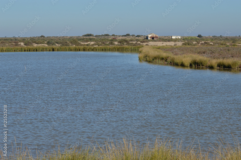 paisajes de marismas y aves en las salinas paisajes de marismas y aves en las salinas