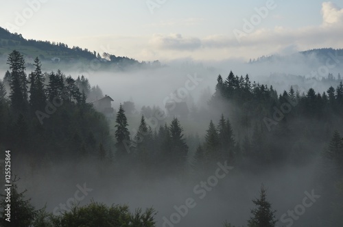 Foggy morning    © Agnieszka&Grzegorz