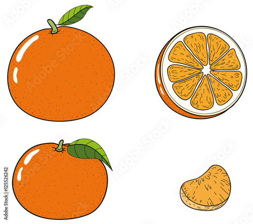 Orange und Mandarine