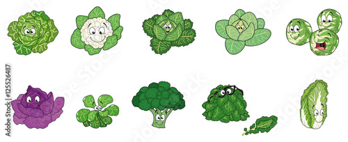 Zehn fröhliche und gesunde Kohl- und Salatsorten