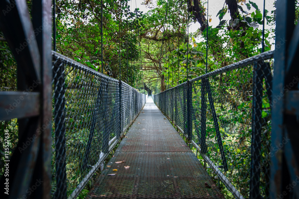 Sky Walk jungle bridge. Sky Walk jungle bridge.