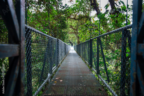 Fototapeta Naklejka Na Ścianę i Meble -  Sky Walk jungle bridge.