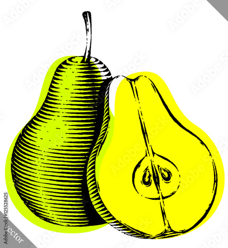 Engraved isolated engrave vector illustration of a pear