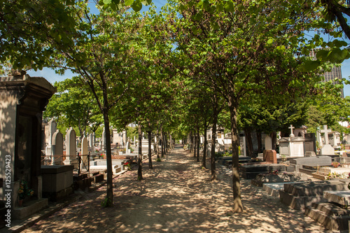 Tree-lined path on Montparnasse Cemetery
