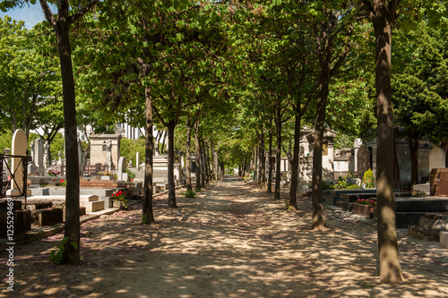 Tree-lined path on Montparnasse Cemetery