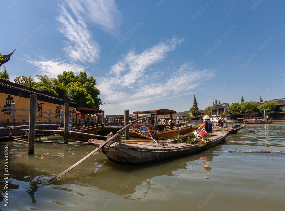 Fototapeta premium Boatman transports underwater grass by boat made of concrete on canal of ancient water town in Zhujiajiao, China