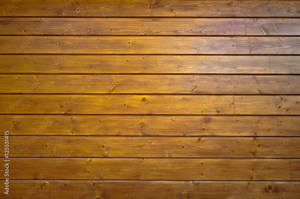 Obraz premium wood texture with natural pattern