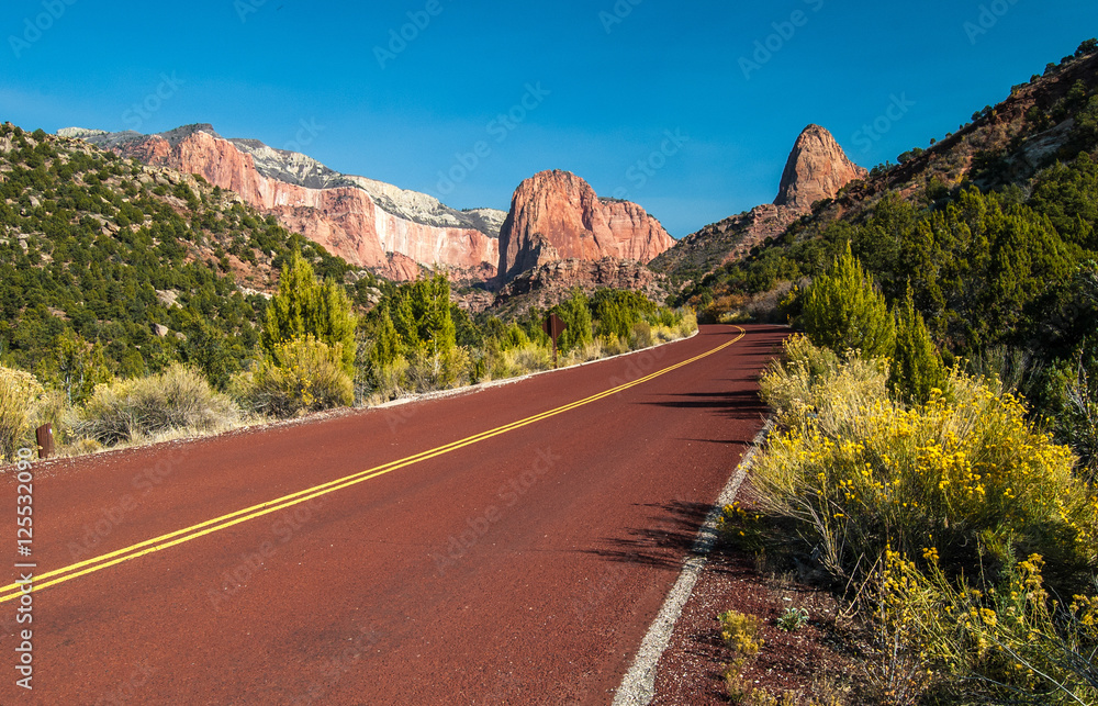 On the road in Zion National Park Utah On the road in Zion National Park Utah